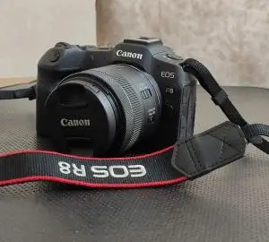 stock