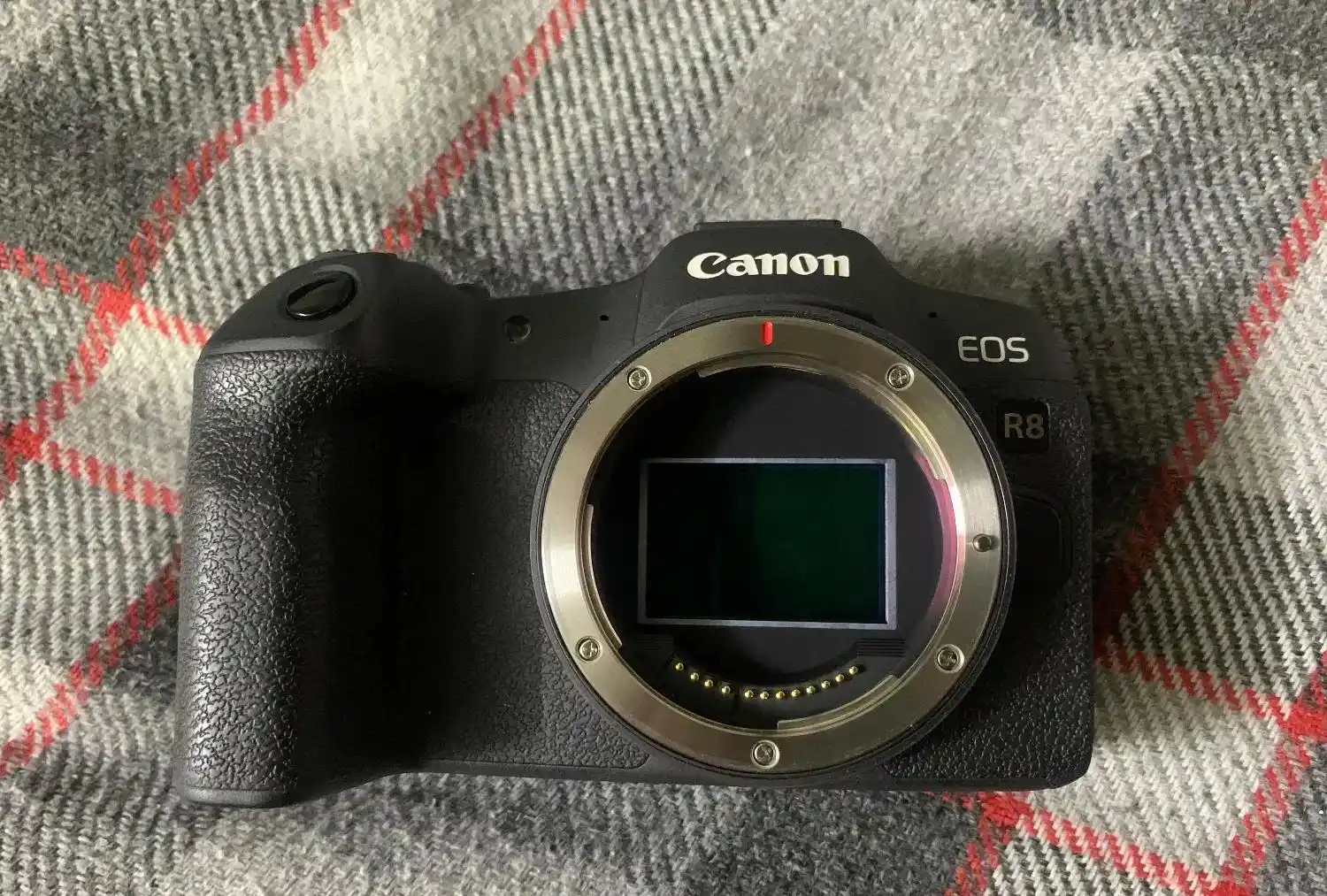 فروش فوری دوربین Canon R8 با لنز 50mm دست دو
