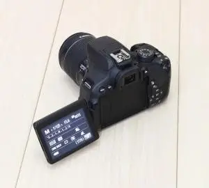 stock