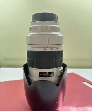stock