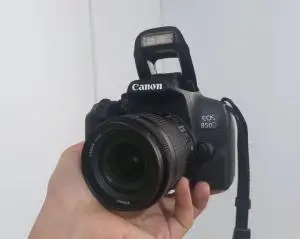 stock