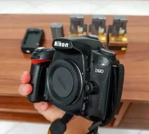 stock