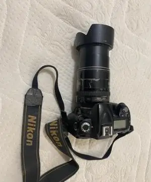 stock