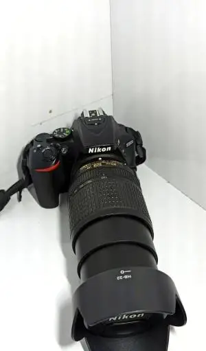 stock