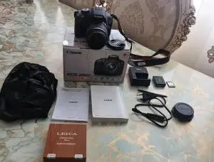 stock