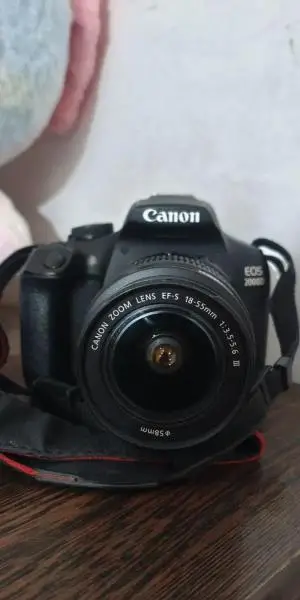 stock