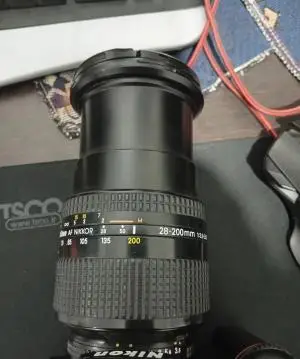 stock