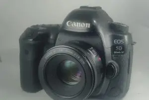 stock