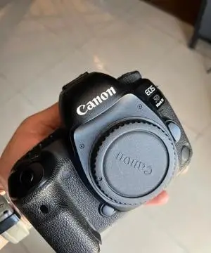 stock