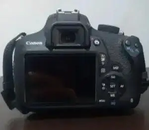 stock