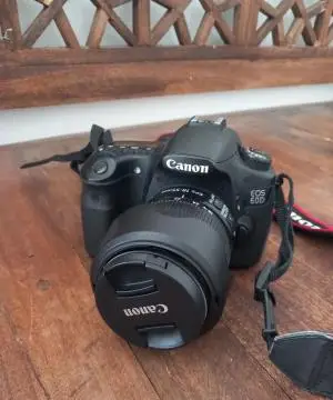 stock
