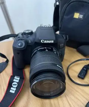stock
