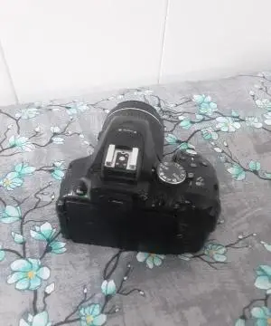 stock