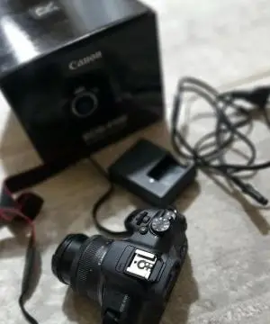 stock