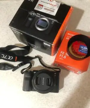 stock