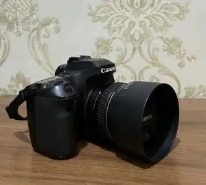 stock