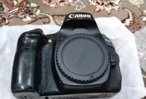 stock