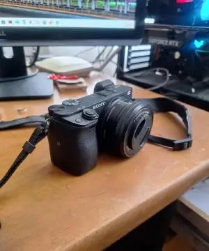 stock