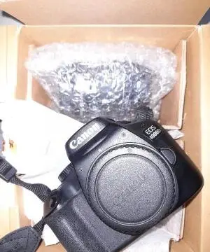stock