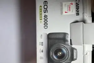 stock