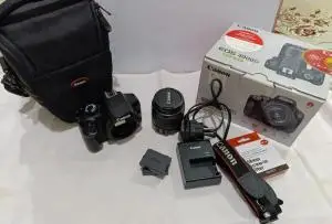 stock