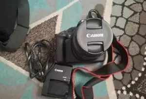 stock