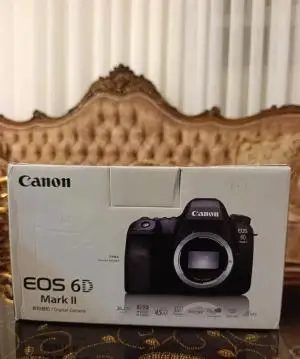 stock