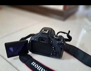 stock