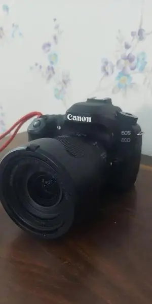 stock