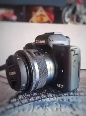 stock