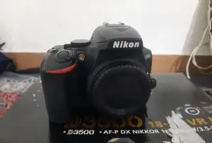 stock