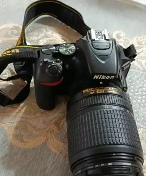 stock