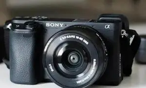 stock