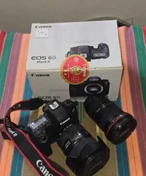 stock