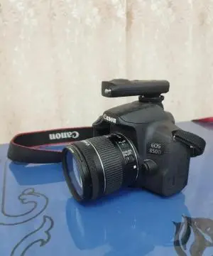 stock