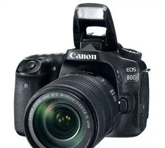 کانن 80D با لنز 18-135 USM (در حد نو + فلش) دست دو