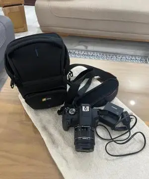 stock