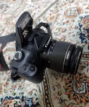 stock