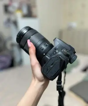 stock