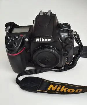 stock