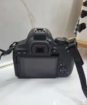 stock