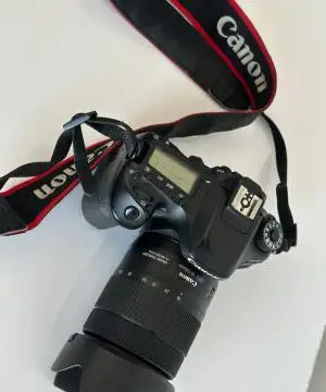 stock
