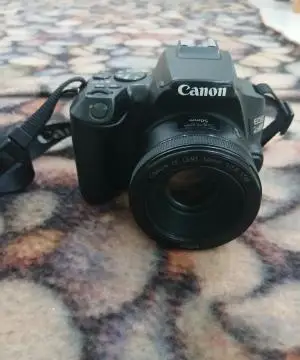 stock