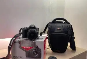 stock