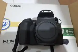stock