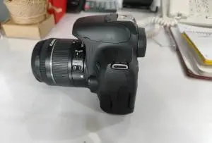 stock