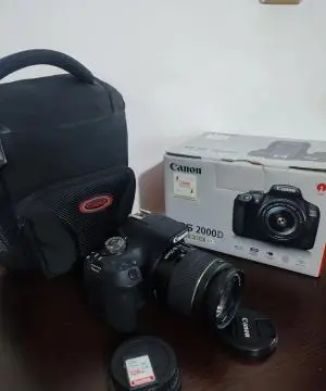 stock