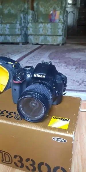 stock