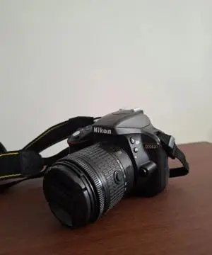 stock