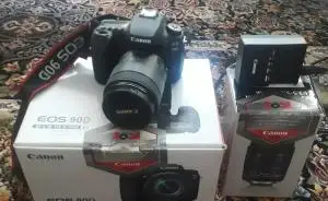 stock
